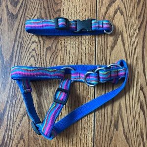 colorful small adjustable dog collar & harness